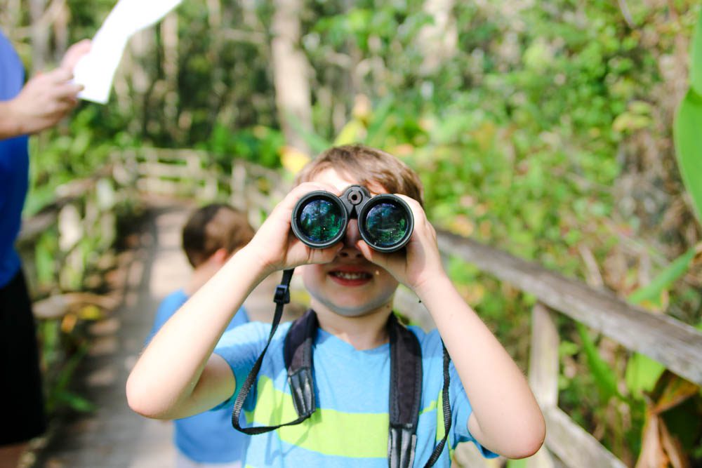 Kids can have fun exploring nature at Corkscrew Swamp Sanctuary in Naples, FL. This is a great summer bucket list idea!