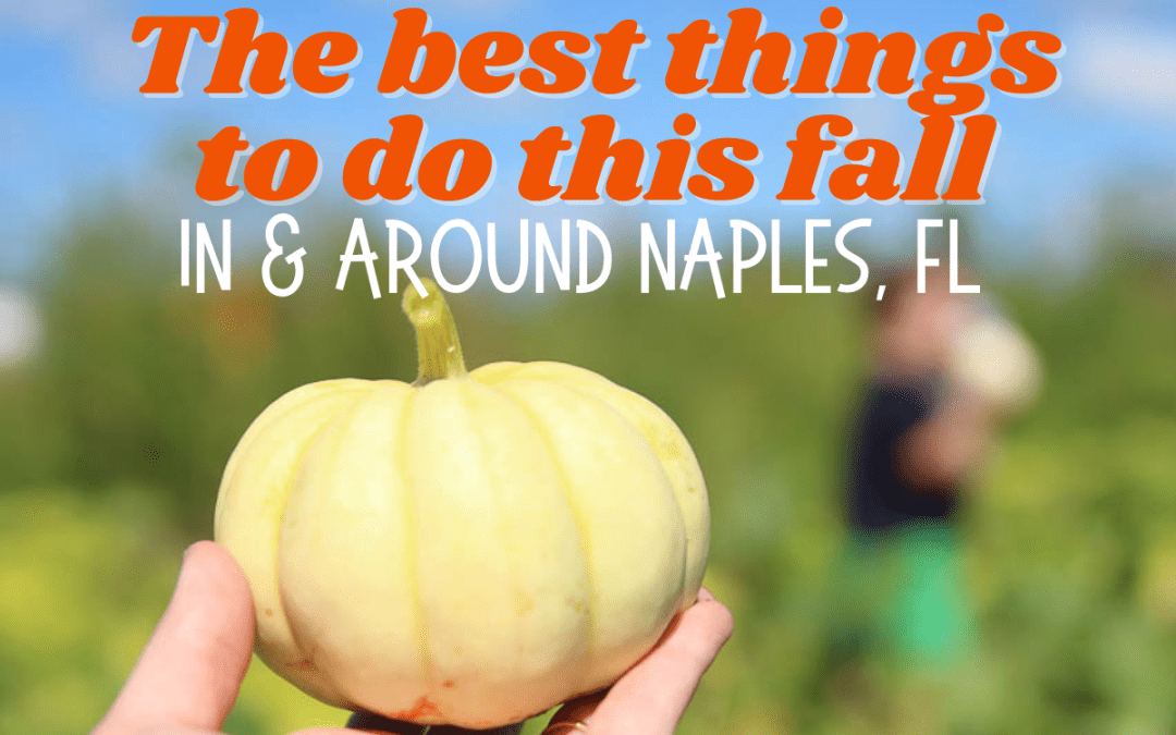 A pumpkin picked from Farmer Mike's with text overlay that says The best things to do this fall in and around Naples, FL